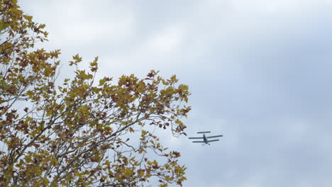 slow motion low angle view shot of sesquiplane biplane airplane flying across the overcast sky over the maple tree