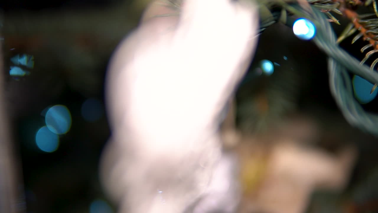 alambre de iluminación de navidad vista de cerca con hoja de pino, enfoque selectivo