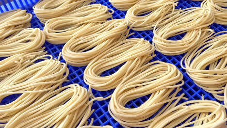 homemade and fresh spaghetti pasta noodles