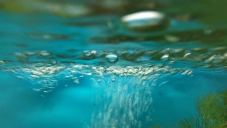 view of underwater bubbles.