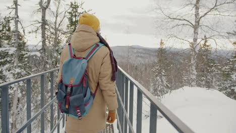 winter hike on a snowy bridge