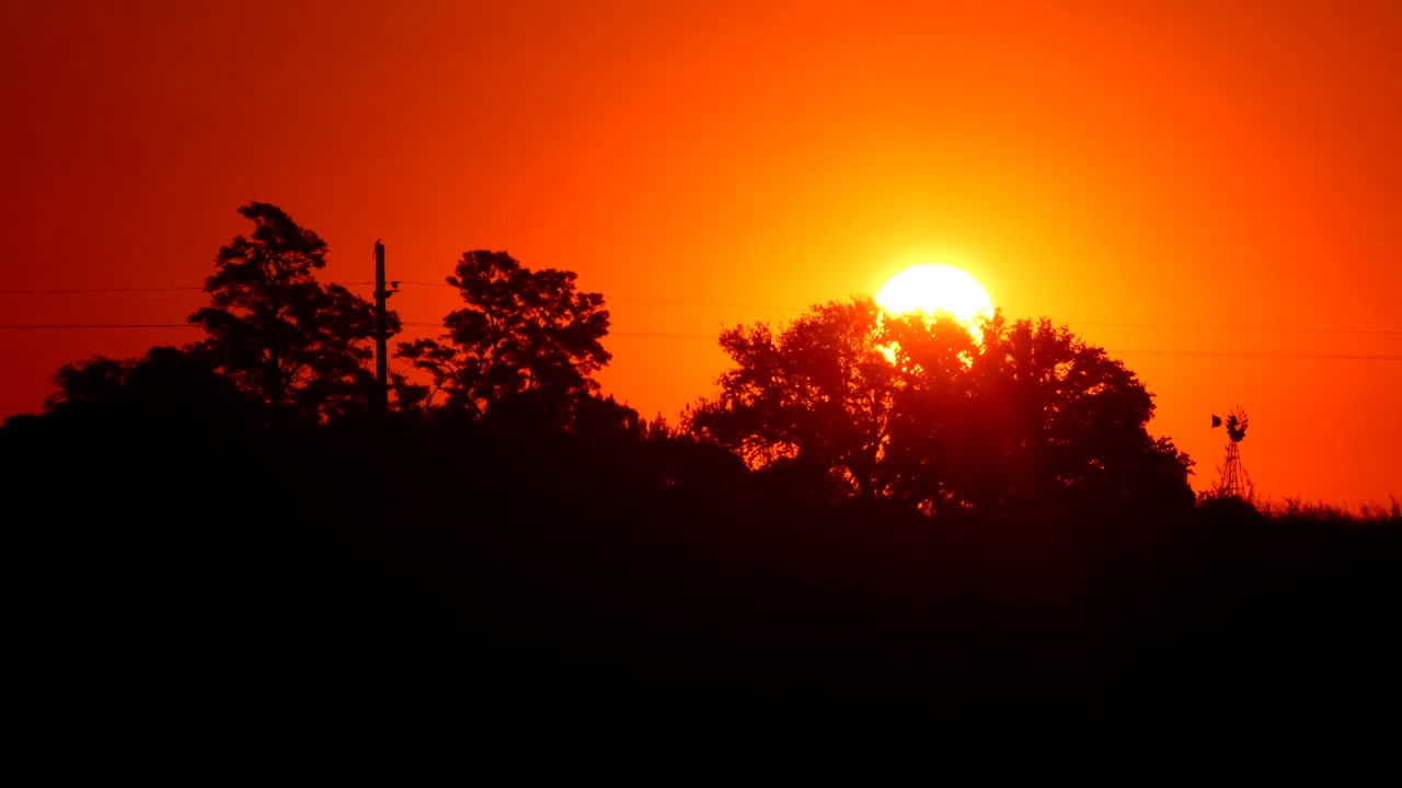 Beautiful Blazing Sunset Landscape Behind The Grove In Firmat Santa Fe, Argentina.-wide shot