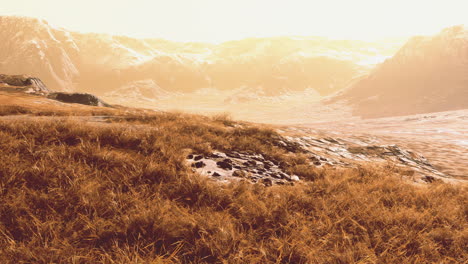 golden hour in a mountain valley