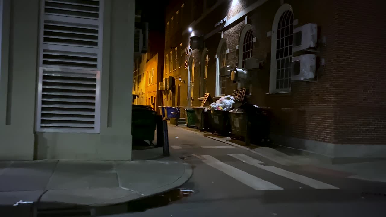 четвертый кадр грязного переулка с мусорными контейнерами ночью.