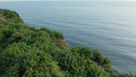 Drone-Volando-Sobre-Un-Acantilado-Cubierto-De-Bosque-Verde,-Revelando-Una-Costa-Alta-Y-Escarpada,-Agua-Azul-Oscuro-Y-Playa-Rocosa