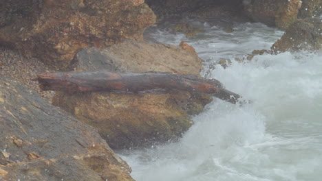 slow motion cinematic shot of a wave crashing on rocks and a broken tree branch