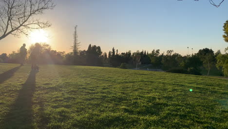 Amigos-Jugando-Frisbee-En-El-Parque