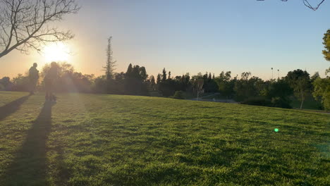amigos jugando frisbee en el parque