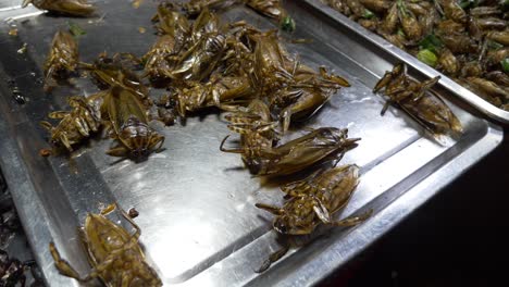 Fried-bugs-roaches-on-metal-plate-for-sale-at-Asian-Thailand-night-market