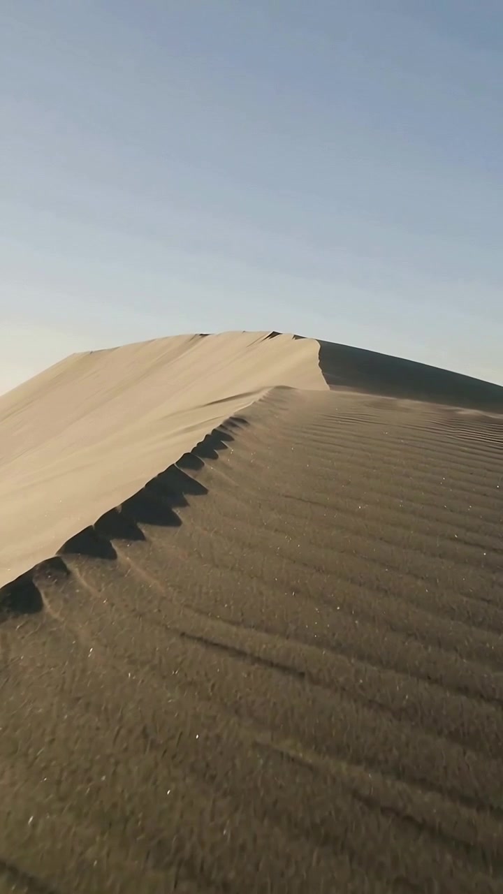 Video verticale: Telecamera che avanza rivelando una cresta di duna in un campo di dune, studiando le texture delle increspature.