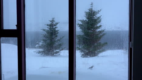 Bandada-De-Pájaros-Alimentándose-En-Tormenta-De-Nieve,-Vista-A-Través-De-La-Ventana