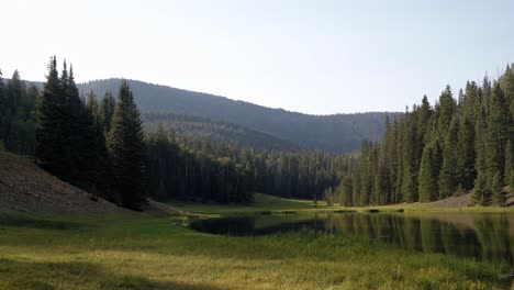 Kippen-Sie-Die-Aufnahme-Einer-Atemberaubenden-Naturlandschaft-Nach-Unten,-Blick-Auf-Den-Stausee-Der-Anderson-Wiese,-Den-Beaver-Canyon-In-Utah-Mit-Einem-Grasfeld,-Großen-Kiefern-Auf-Allen-Seiten-Und-Wolken-An-Einem-Warmen,-Sonnigen-Sommertag