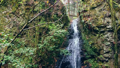 Waterfall-Inside-a-forest-with-a-lake-in-Gifu-Japan