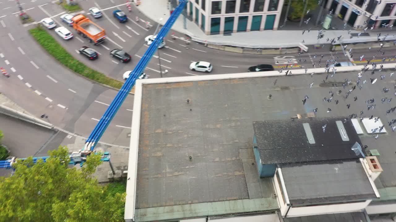 독일 슈투트가르트의 콘크리트 정글에서 시내 스카이라인과 도시 위로 날아가는 비둘기 떼