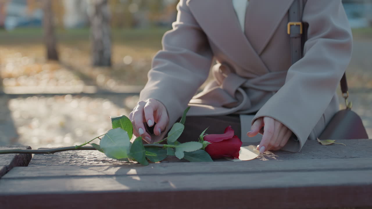 Una singola rosa rossa su una panchina di legno, immersa nella luce solare autunnale. Una donna in cappotto beige e sciarpa bianca si inginocchia per raccogliere la rosa, le dita che sistemano i petali, poi posa il fiore all'interno del cappotto. Un momento di quieto ricordo.
