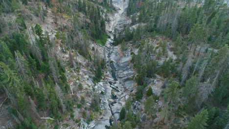 aerial flyover of trees and stony creek in sequoia at sunset