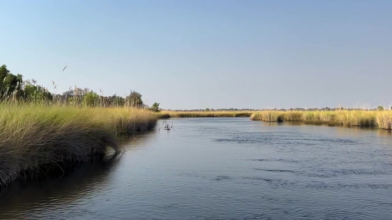 Xakanaxa Lagoon in Moremi Game Reserve. Okavango Delta, Botswana.