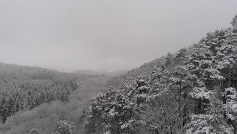 Aerial-panning-shot-of-a-misty-valley-with-snow-frozen-treetops-in-an-atmospheric-cold-seasonal-landscape