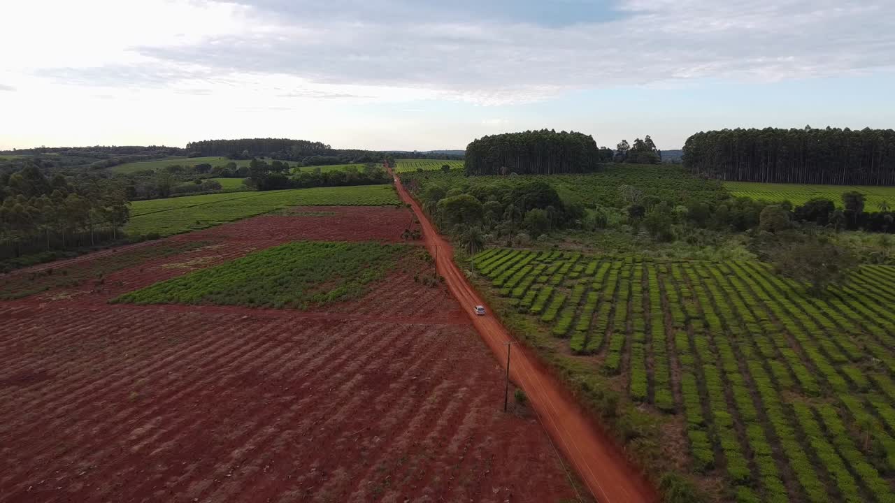 vista aérea desde un avión no tripulado siguiendo un vehículo a través de los campos agrícolas en el campo de salto chávez, misiones, argentina