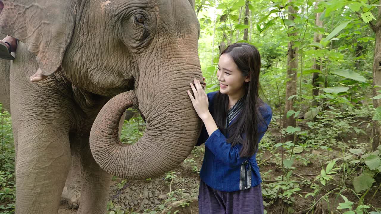 Woman interacting with an elephant in a forest