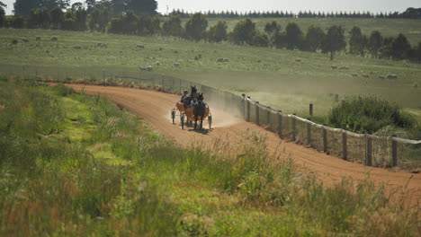distant shot of horses running around track