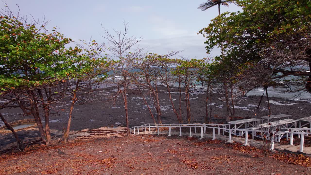 Scenic Tropical Beach with Palm Trees and Lava Rocks in São Tomé and Principe