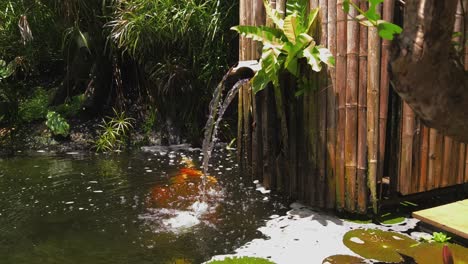 tranquil water feature with koi fish and bamboo structure