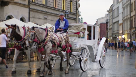 horse-drawn carriage in krakow's old town on a rainy day