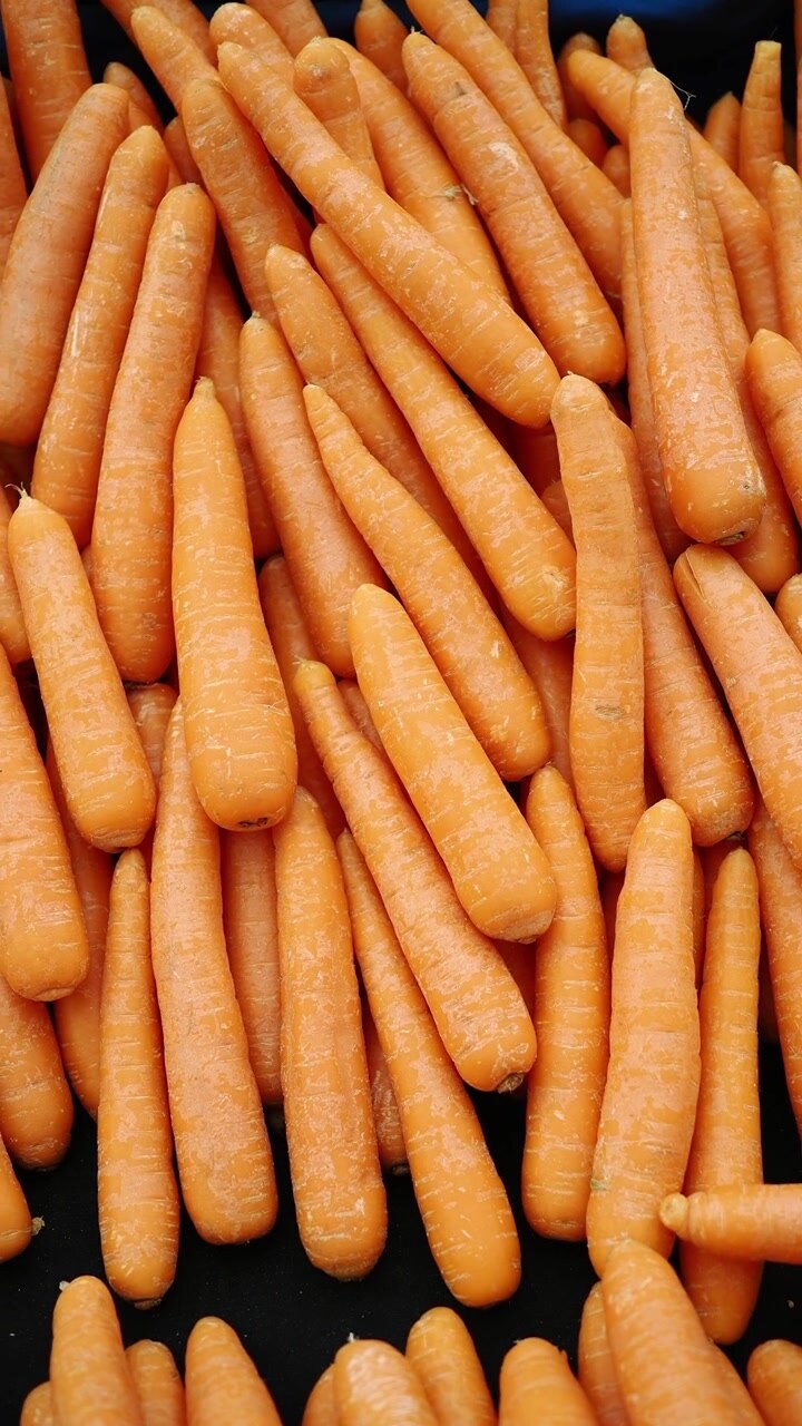 Fresh Raw Carrots Displayed in a Market Bin