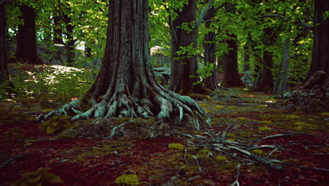 tree-roots-with-green-moss-at-spring