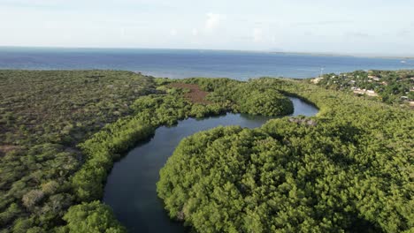 dajabon river and lush green forest in summer in the dominican republic and haiti