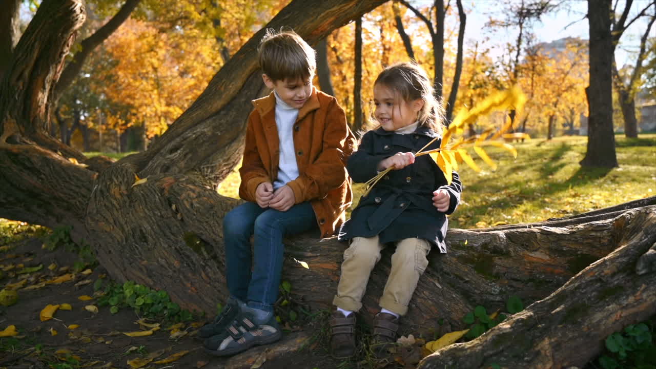 Happy family in an autumn park. Brother and sister sitting on a tree trunk, playing with a twig, yellowed trees around. Slow motion
