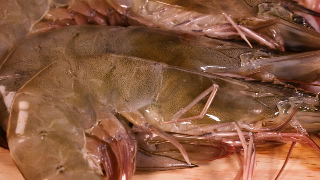 A close-up view of protein-rich foods including eggs, shrimp, raw meat, and salmon fillets.