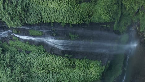 wispy sekumpul waterfall in vertical format with lush green vegetation