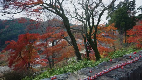 autumn colors at katsuo-ji temple in minoh osaka, beautiful fall japan scene 4k