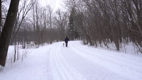 a man is walking with his dog on a trail on a snowing day