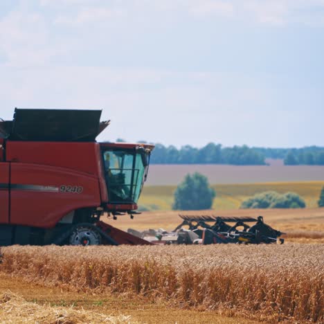 harvester harvesting wheat