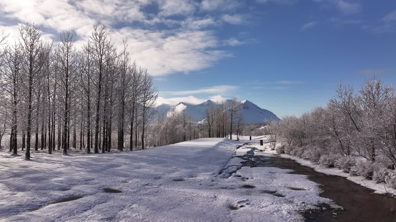 Winter landscape with snowy trees, a river, and Icelandic mountains in the background.