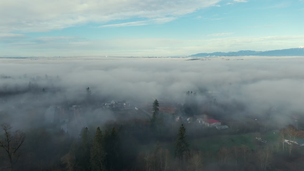 Inversione di nubi sulla municipalità di Langley e la foresta in Columbia Britannica, Canada. Scatto aereo.