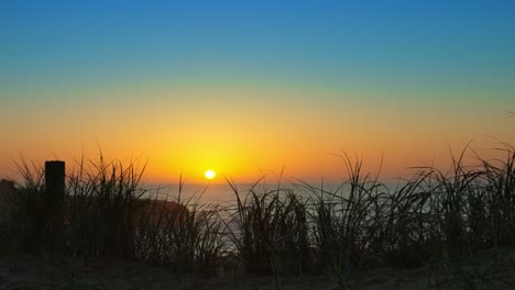 Puesta-De-Sol-Vívida-Orilla-Escénica-Cerca-De-La-Costa-Campo-Hojas-Naturaleza-Manija-De-La-Cámara-Cerca-Del-Acantilado-Del-Paisaje-Marino