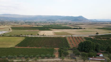 Ascending-revealing-4K-clip-of-the-countryside-and-vineyards-in-close-to-the-village-Choristi,-in-Drama,-Greece