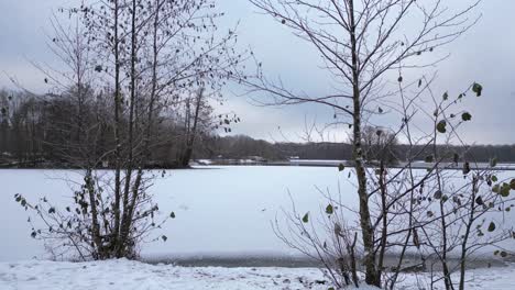 Winter-Schnee-Eis-See-Wald-Wald-Bewölkter-Himmel-Deutschland