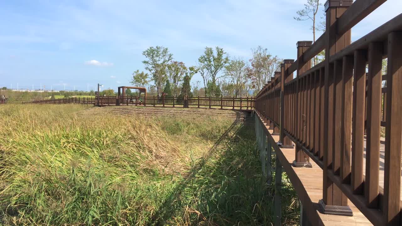 대한민국 경기도 파주 문산에 있는 dmz가 북한을 내려다보는 임진각의 목조 다리와 달콤한 깃발 들판