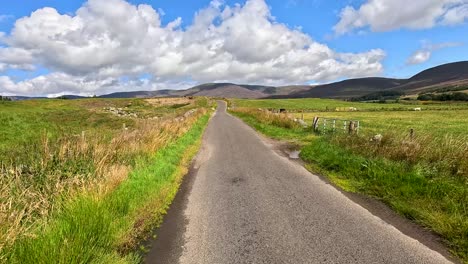 a vehicle travels a narrow country road through green fields and rolling hills under bright daylight, with steady forward camera movement and natural lighting