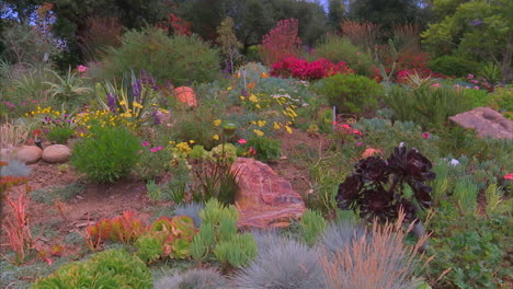 se les pide a los californianos que planten plantas tolerantes a la sequía en sus jardines durante la sequía