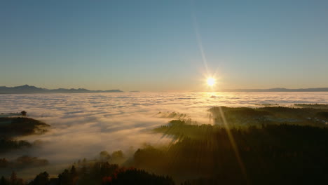 hermoso cielo en los bosques de la meseta suiza, no lejos del pueblo de savigny