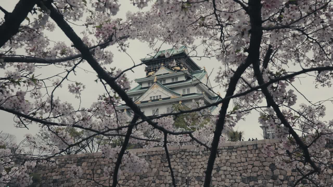 la torre de guardia del castillo de osaka desde el parque del castello de osaka con flores de cerezo