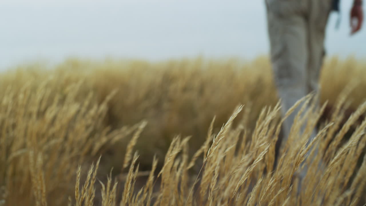 We're here to escape the ordinary