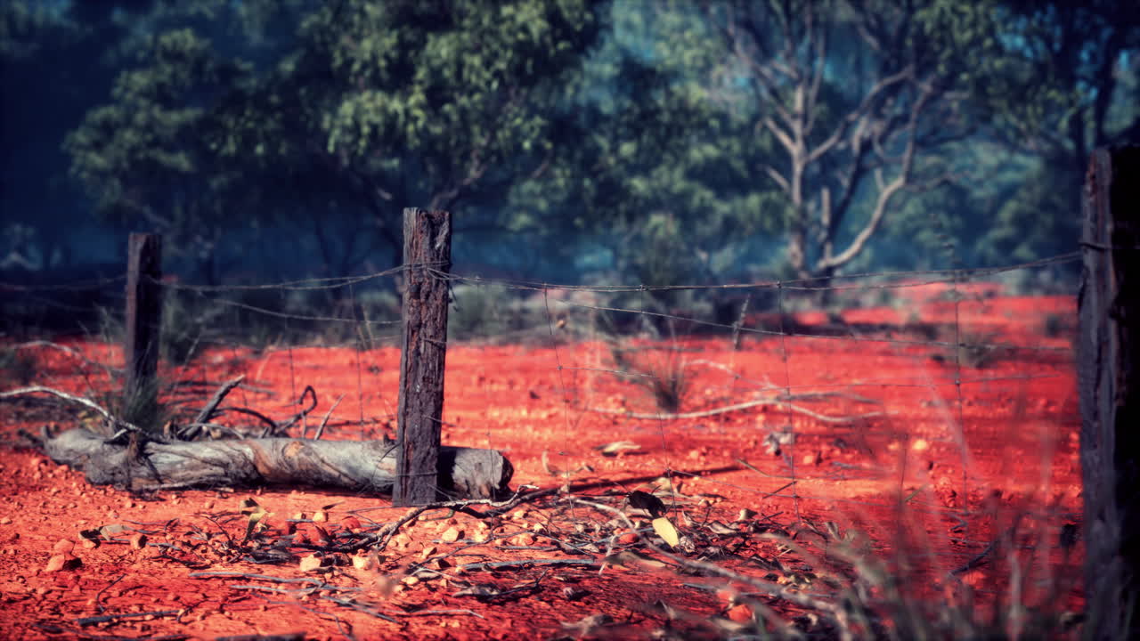 나무 기둥 을 가진 오래된 시골 가시 와이어 울타리