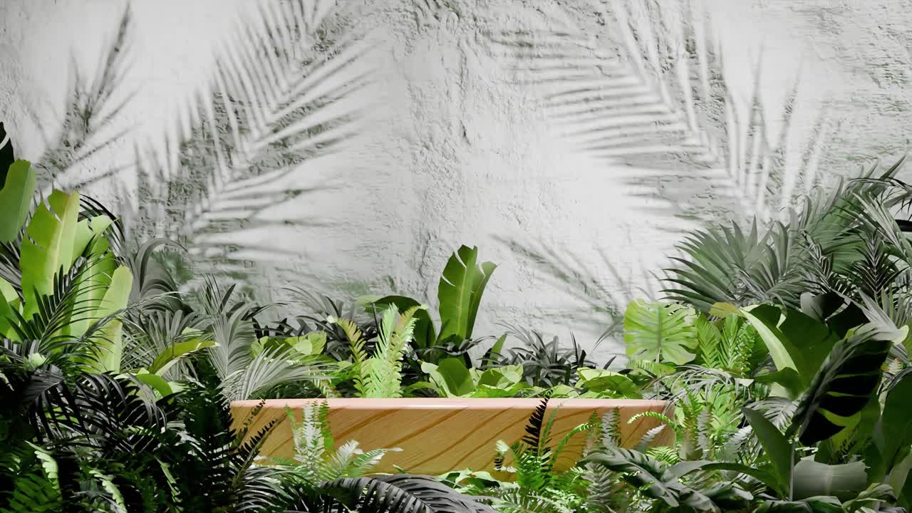 Wooden podium surrounded by tropical green foliage with palm leaf shadows on white textured wall. Minimalist product display template. Summer botanical and nature. wallpaper with copy space